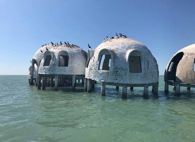 Isla Marco: recorrido por las diez mil islas con delfines y conchas