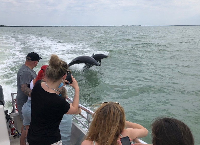 Picture 6 for Activity Marco Island: 1Ten Thousand Islands Dolphin & Shelling Tour