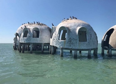 Marco Island: 1Tio tusen öars delfin- och skaldjurstur