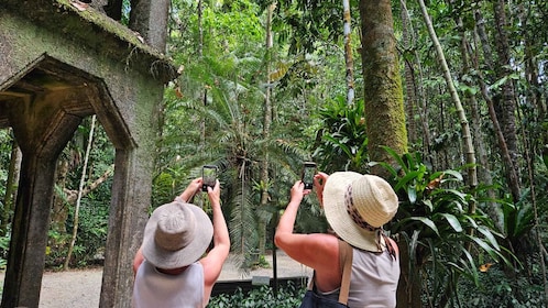 凯恩斯帕罗内拉、巴林湖和米拉米拉瀑布之旅