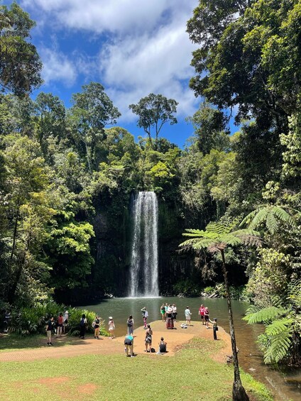 Picture 3 for Activity Cairns: Paronella, Lake Barrine & Millaa Millaa Falls Tour