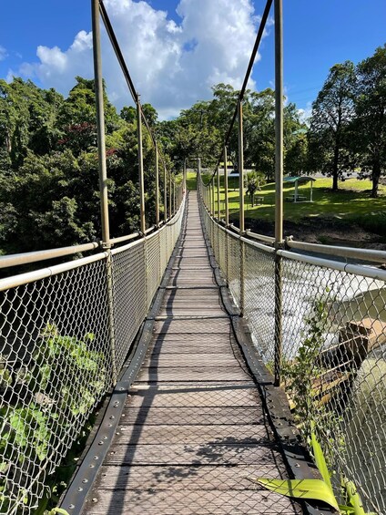 Picture 7 for Activity Cairns: Paronella, Lake Barrine & Millaa Millaa Falls Tour