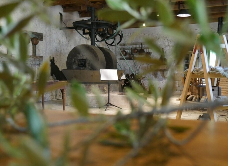 Picture 8 for Activity Lefkada: Olive Museum Fabbrica Ticket and Guided Tour