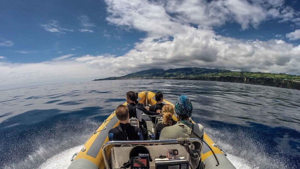 Picture 1 for Activity Azores: Swim with Dolphins Atlantic Experience