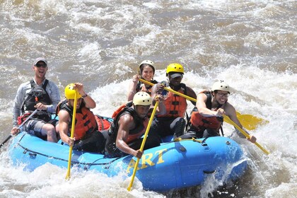 Cotopaxi: Bighorn Sheep Canyon Rafting kokopäiväretki