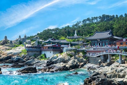 Busan Tour with Gamcheon Village & haedong yonggungsa temple