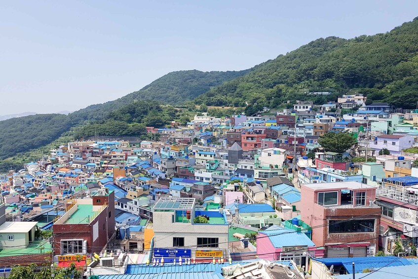 Picture 2 for Activity Busan: Day Trip with Gamcheon Culture Village and Sky Walk