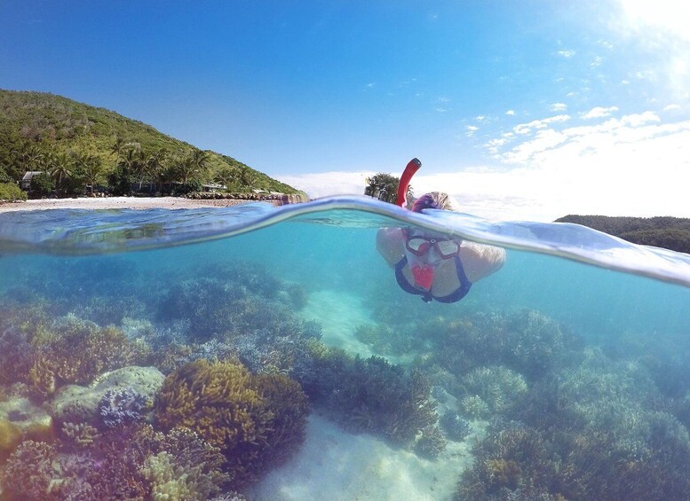 Picture 4 for Activity Mackay: Full Day Island Boat Tour on the Great Barrier Reef