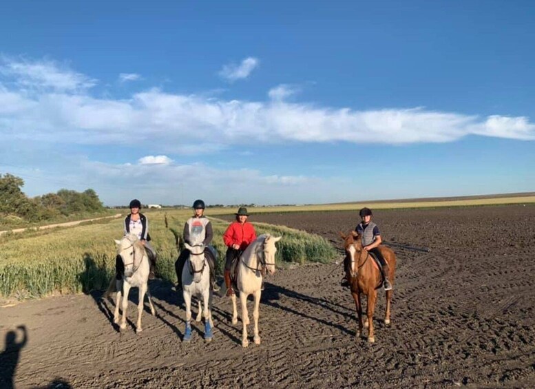 Picture 5 for Activity Cádiz Country side: Ride an Andalusian Horse