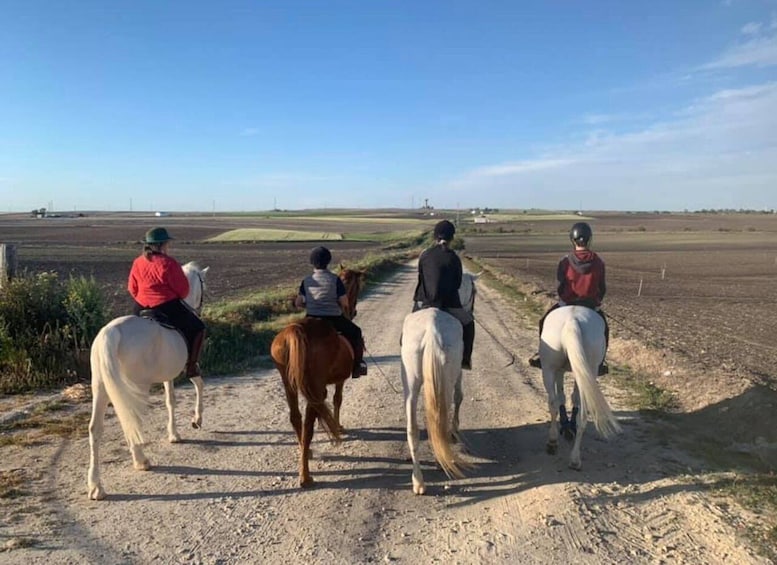 Picture 1 for Activity Cádiz Country side: Ride an Andalusian Horse