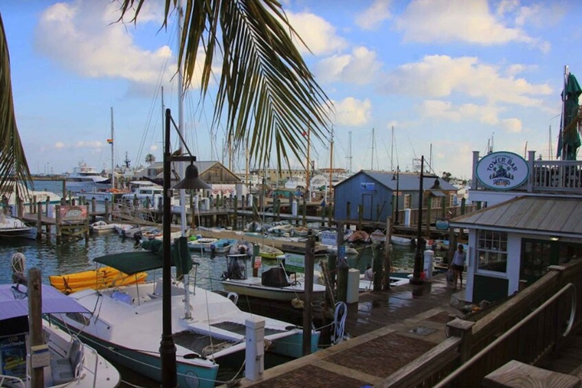 Picture 4 for Activity Key West: Hemingway's Life and Local Food Walking Tour