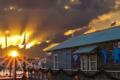 Key West: Hemingwayn elämä ja paikallinen ruoka -kävelykierros