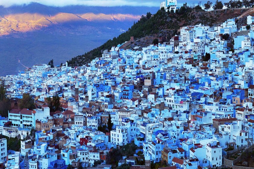 Picture 1 for Activity From Rabat: Highlights Day Trip To Chefchaouen