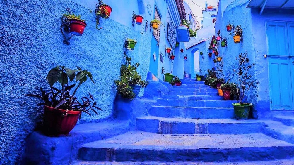 Picture 3 for Activity From Rabat: Highlights Day Trip To Chefchaouen