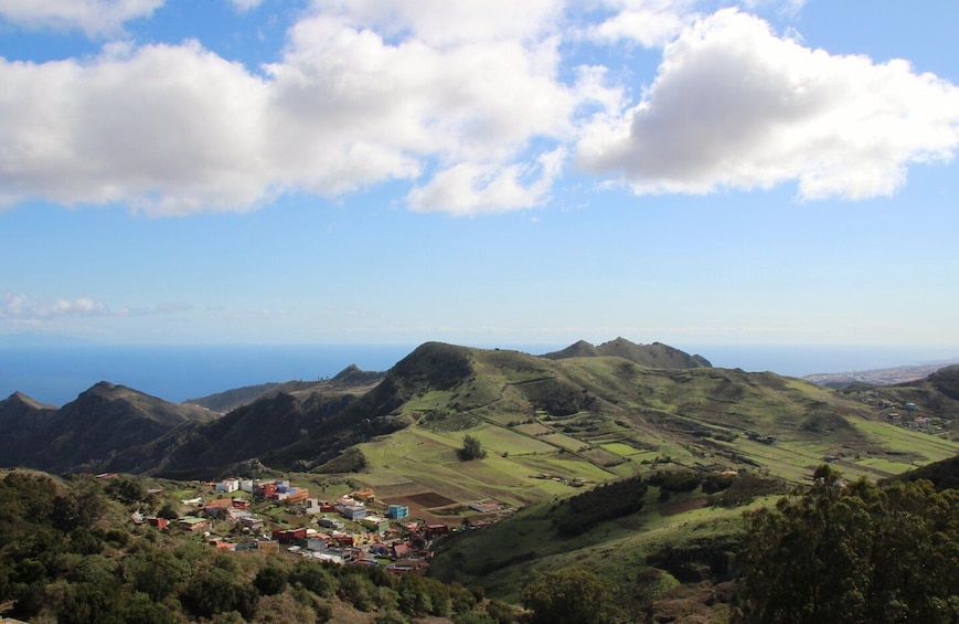 Picture 4 for Activity Tenerife: Santa Cruz, La Laguna and Anaga Tour