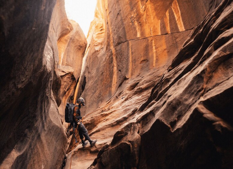 Picture 2 for Activity Springdale: Half-Day Canyoneering Experience