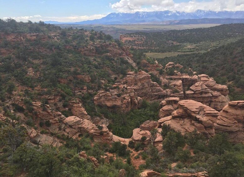 Picture 7 for Activity Springdale: Half-Day Canyoneering Experience