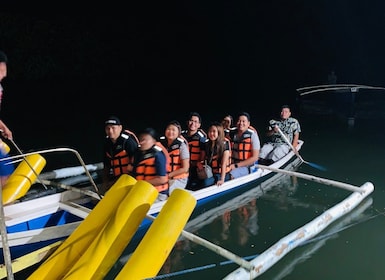 Puerto Princesa: Jungle Firefly Watching Boat Tour & Dinner