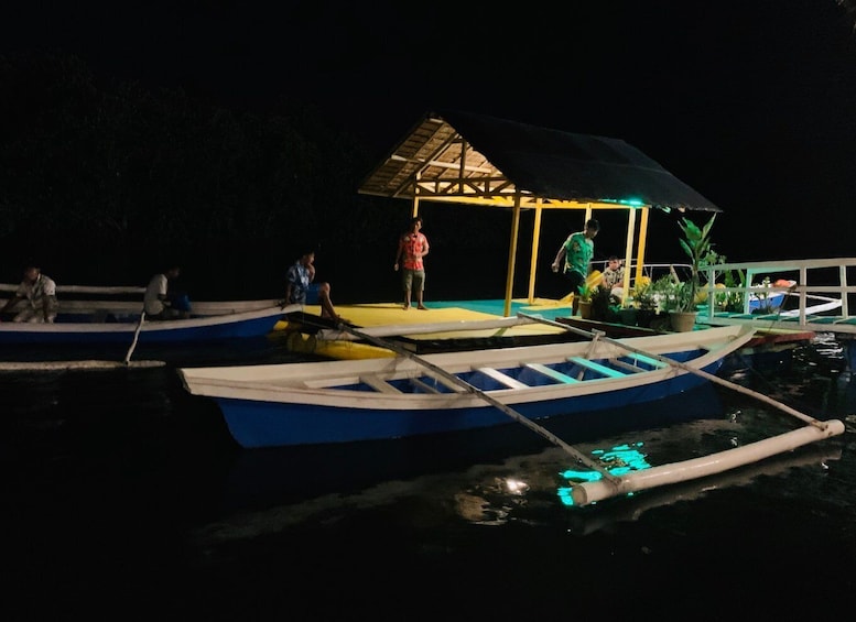Picture 1 for Activity Puerto Princesa: Jungle Firefly Watching Boat Tour & Dinner
