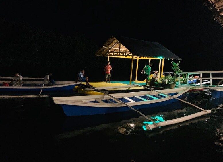 Picture 1 for Activity Puerto Princesa: Jungle Firefly Watching Boat Tour & Dinner