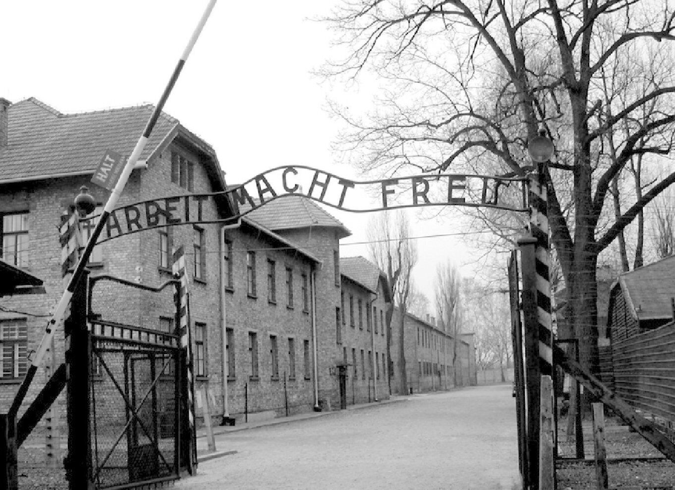 Auschwitz-Birkenau & Salt Mine Tour in One Day from Krakow