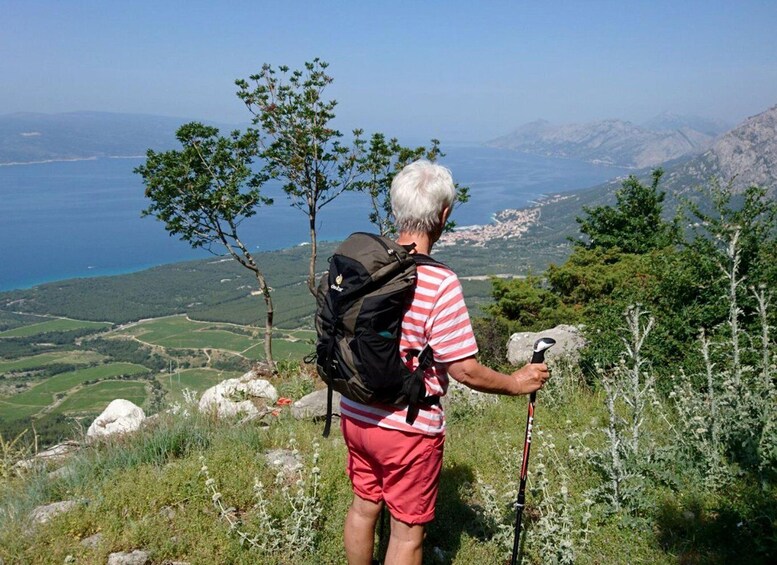 Picture 4 for Activity Makarska Rivijera: Half-Day Hiking Tour in Nature Park