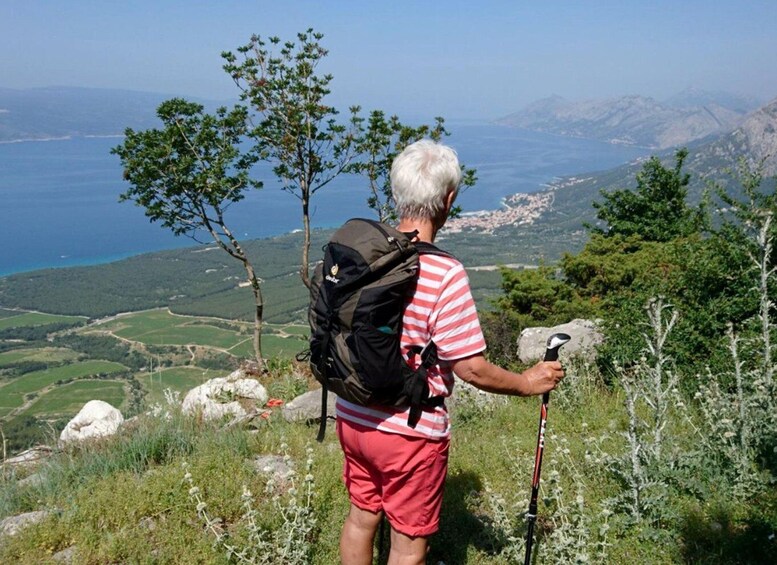 Picture 4 for Activity Biokovo Nature Park: Half-Day Hiking Tour