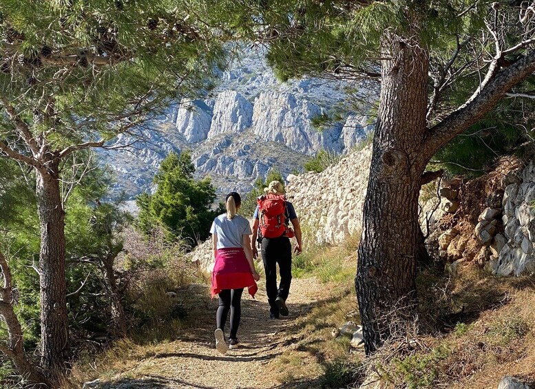 Picture 7 for Activity Makarska Rivijera: Half-Day Hiking Tour in Nature Park