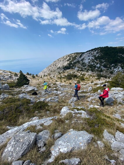 Picture 2 for Activity Makarska Rivijera: Half-Day Hiking Tour in Nature Park