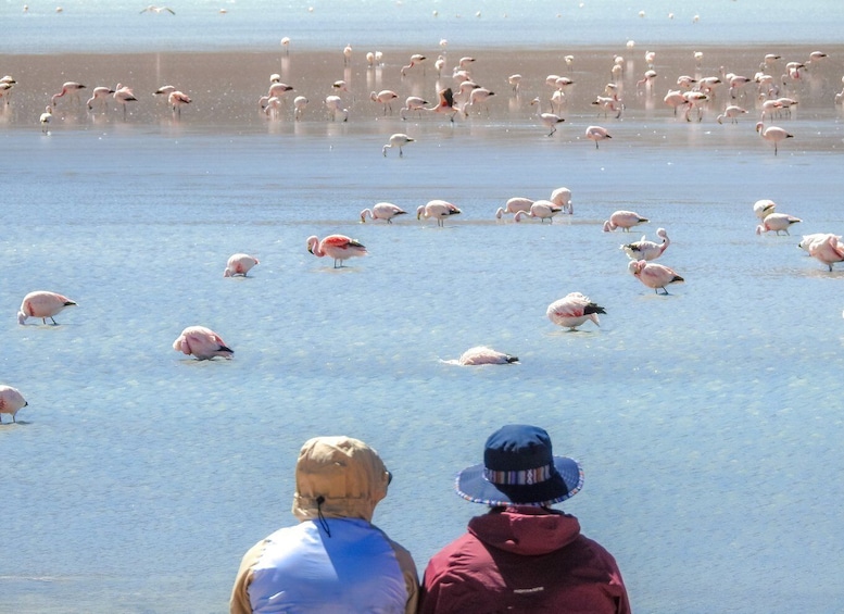 Picture 14 for Activity From Uyuni: Red Lagoon & Uyuni Salt Flats 3-Day Guided Tour