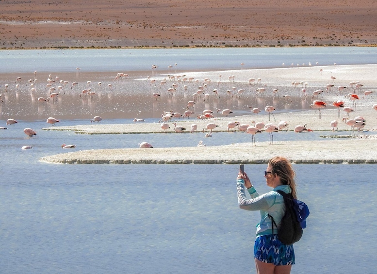 From Uyuni: Red Lagoon & Uyuni Salt Flats 3-Day Guided Tour