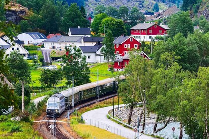 Fra Bergen: Flam heldagskrydstogt til Sognefjorden