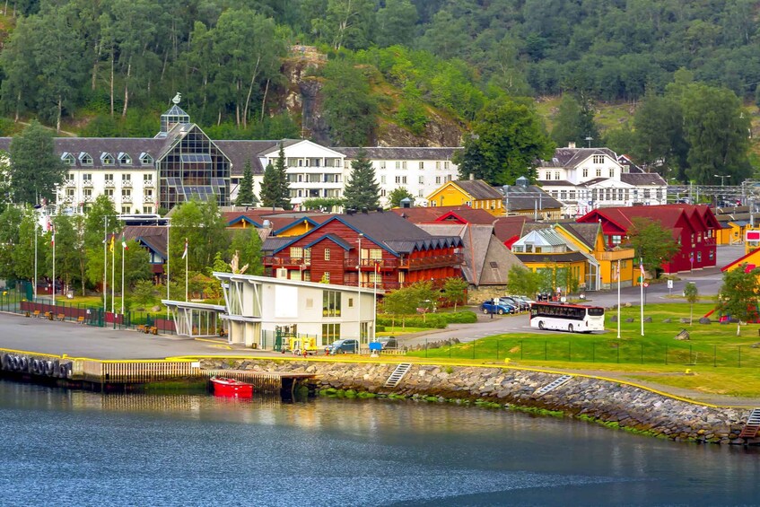 Picture 6 for Activity From Bergen: Flam Full-Day Cruise to Sognefjord