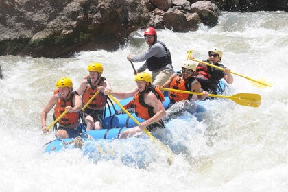 Cañon City: Full-Day Royal Gorge Whitewater Rafting Tour