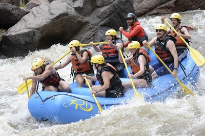 Cañon City: Gorge Whitewater Rafting Tour: Koko päivän Royal Gorge Whitewat...