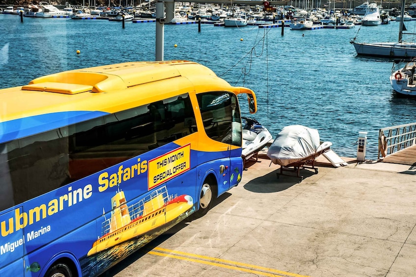 Picture 8 for Activity Southern Tenerife: 50-Minute Submarine Dive