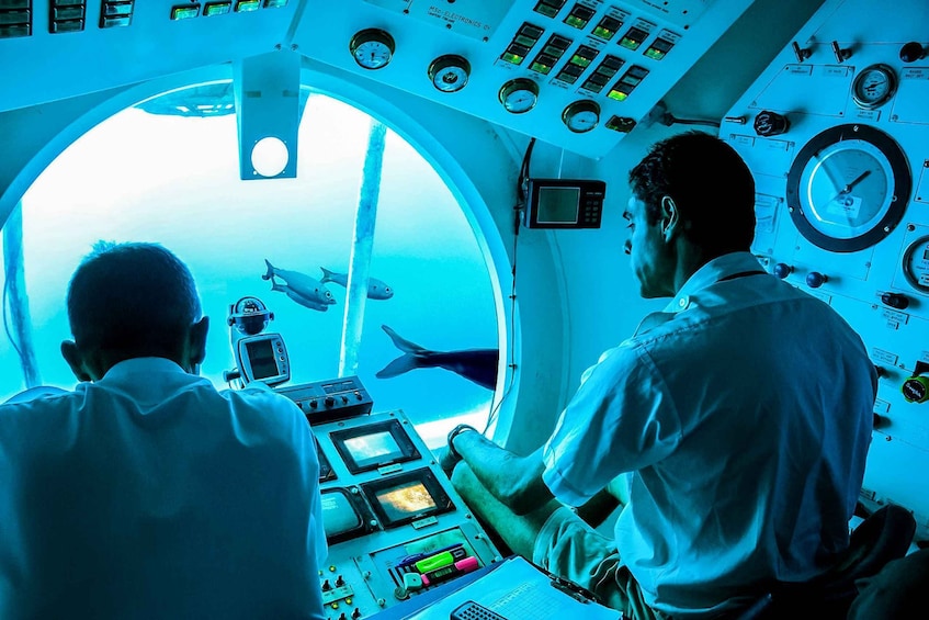 Picture 2 for Activity Southern Tenerife: 50-Minute Submarine Dive