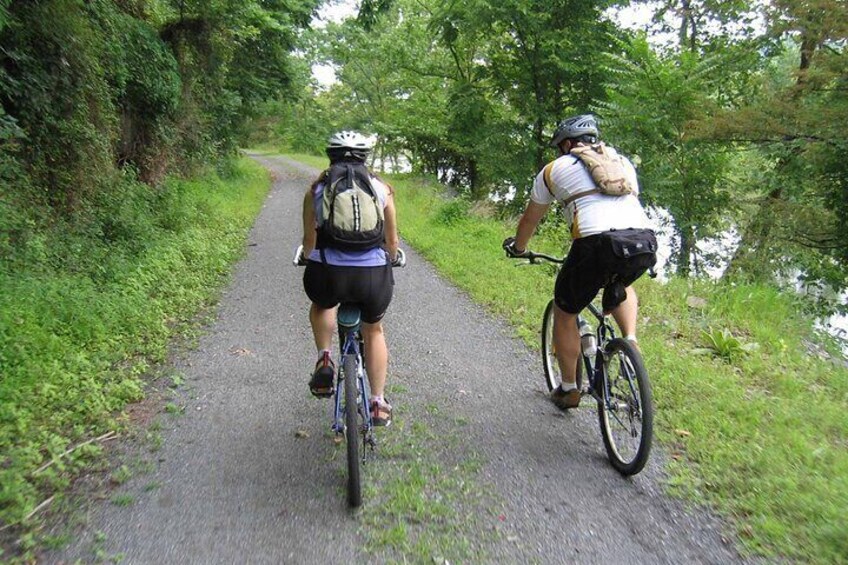 Take In The Peace and Serenity | Nature and Wildlife Bike Tour | 2-hr. |