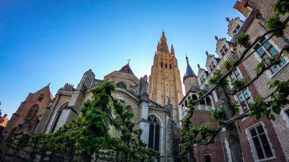 Picture 3 for Activity Bruges: Private Historical Highlights Walking Tour