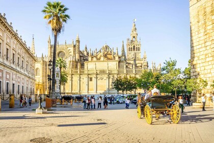 From Costa del Sol: Guided Tour of Seville