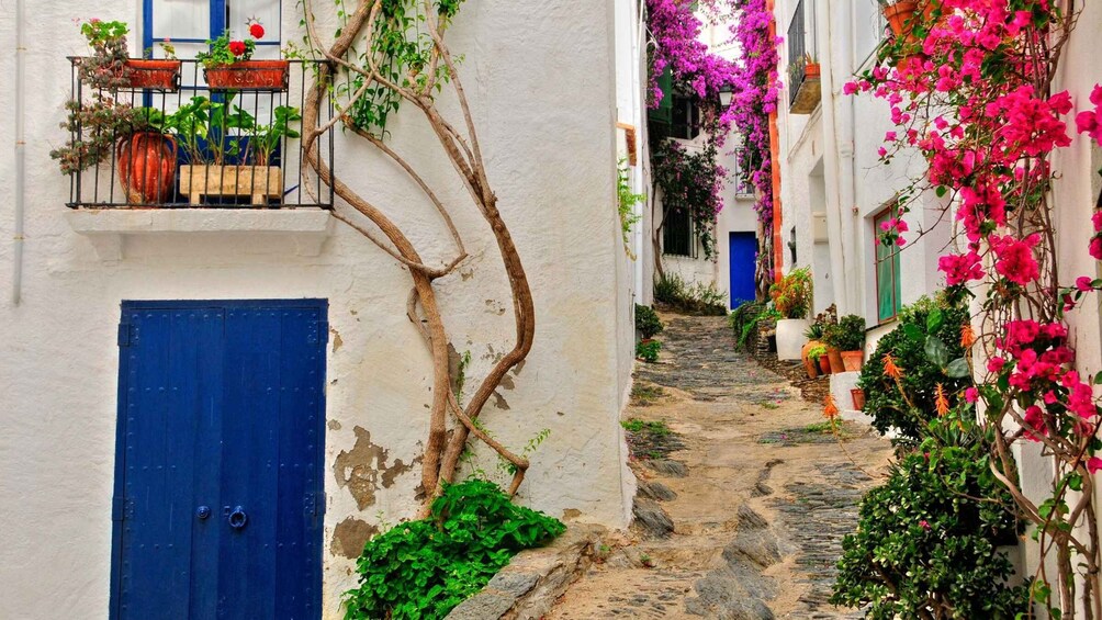 Picture 8 for Activity From Roses: Cadaqués Catalonian Coast Boat Tour