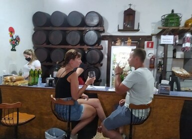 São Paulo: Full-Day Private Wine Tour in São Roque