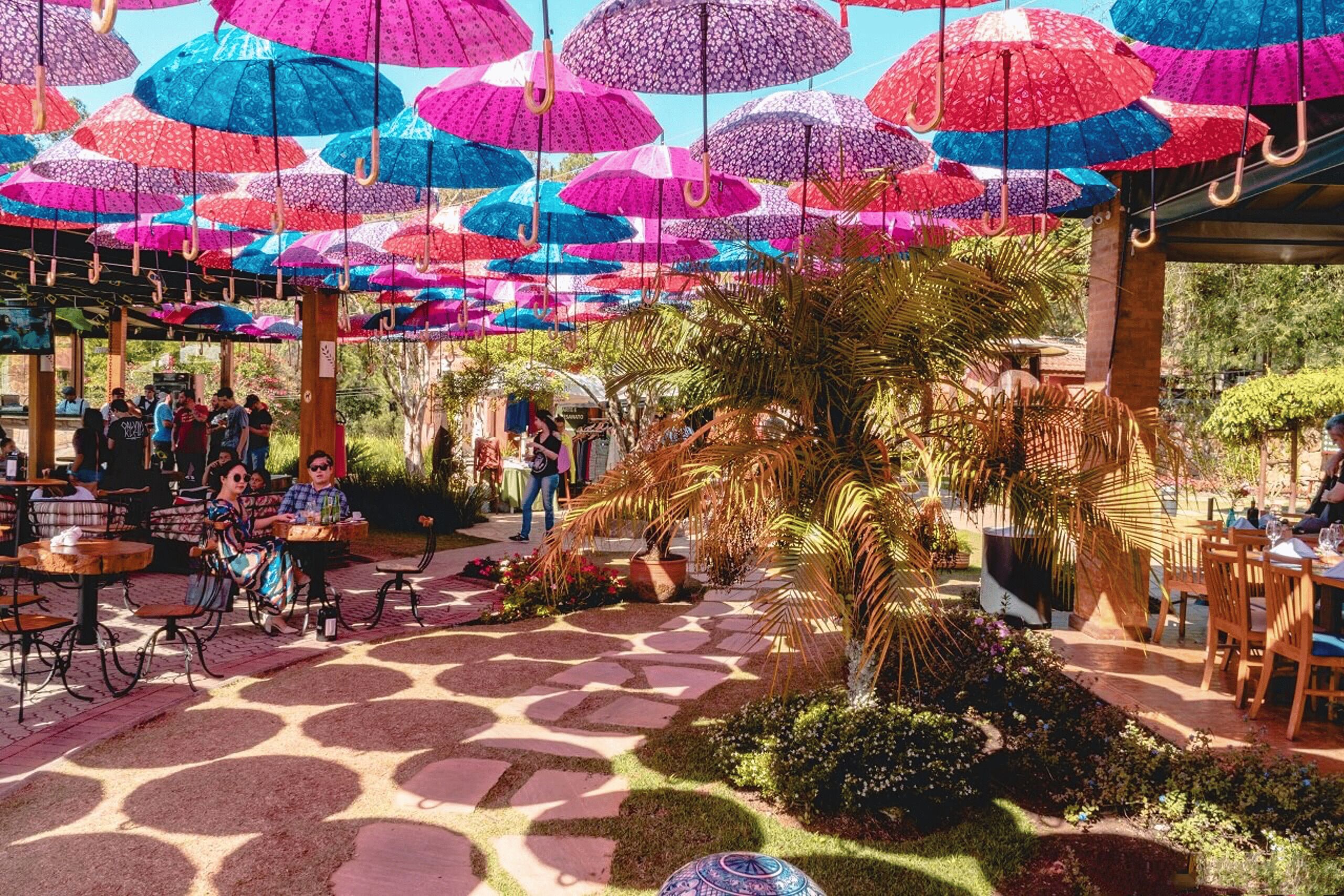 São Paulo: Full-Day Private Wine Tour in São Roque