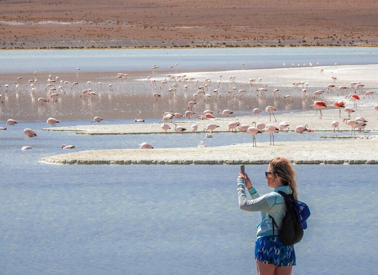 Picture 2 for Activity La Paz: Uyuni Salt Flats & San Pedro de Atacama 3-Day Tour