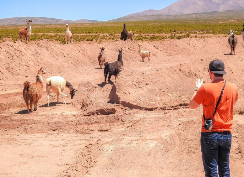 Picture 16 for Activity La Paz: Uyuni Salt Flats & San Pedro de Atacama 3-Day Tour
