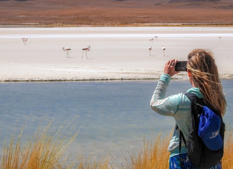 Picture 13 for Activity La Paz: Uyuni Salt Flats & San Pedro de Atacama 3-Day Tour