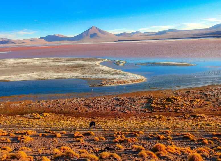 Picture 17 for Activity La Paz: Uyuni Salt Flats & San Pedro de Atacama 3-Day Tour