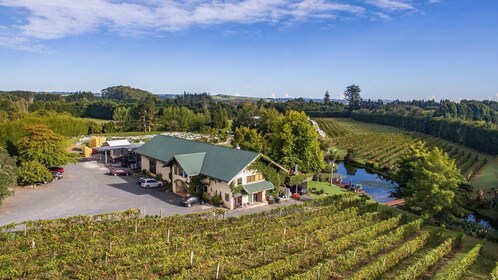 Au départ de Paihia ou de Kerikeri : Bay of Islands Wine Tour