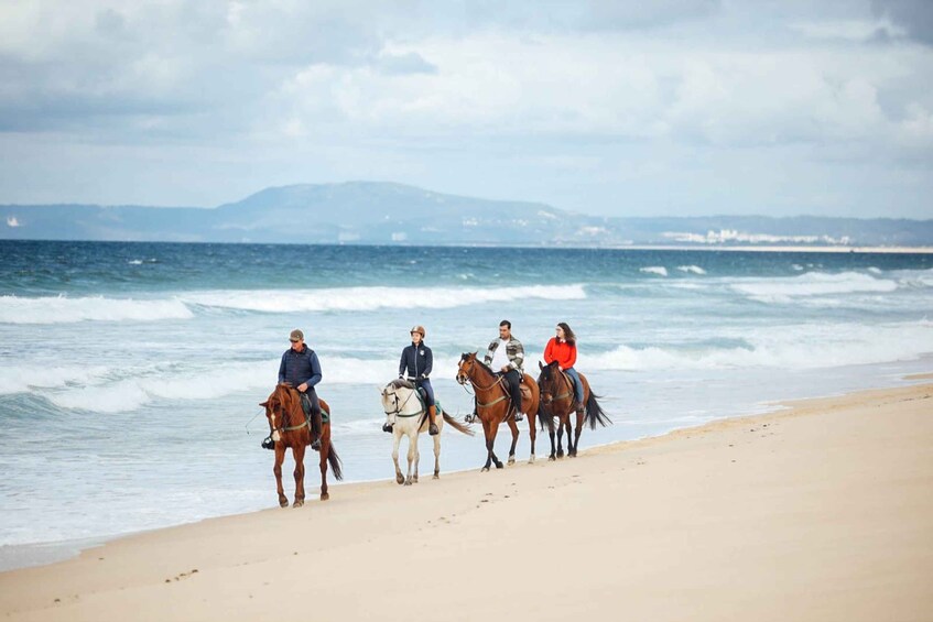 Comporta: Guided Horseback Riding Experience