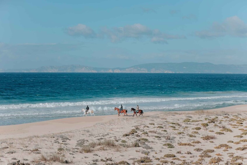 Picture 2 for Activity Comporta: Guided Horseback Riding Experience